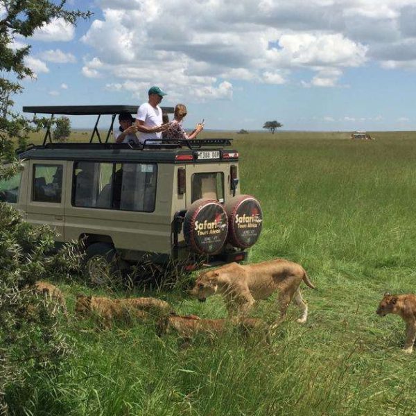 7 Day Private Tanzania Adventure