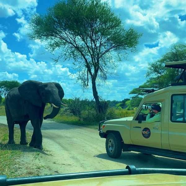 8 Day Private Tanzania Fly-in Safari
